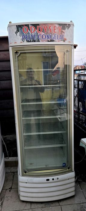 Vitrina frigorifica congelare verticala o usa