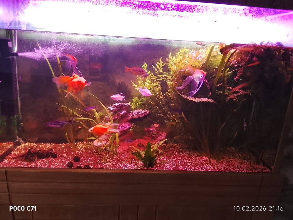 Продам аквариум 350 литров торг уместен