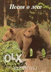 Фотоальбом Песня о лесе