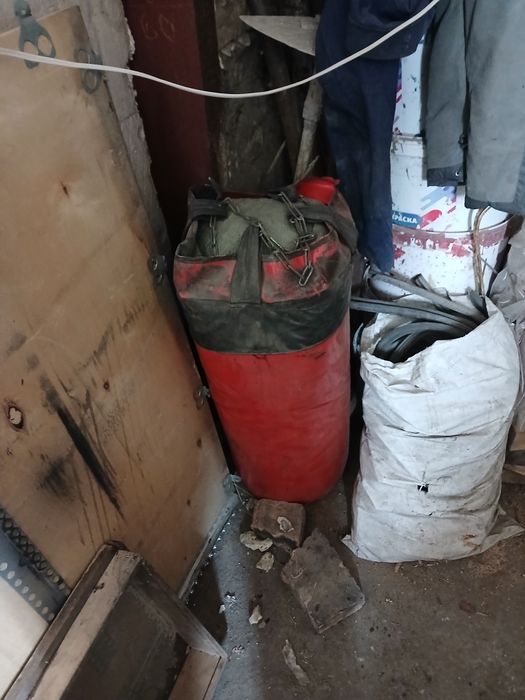 Груша целая продам