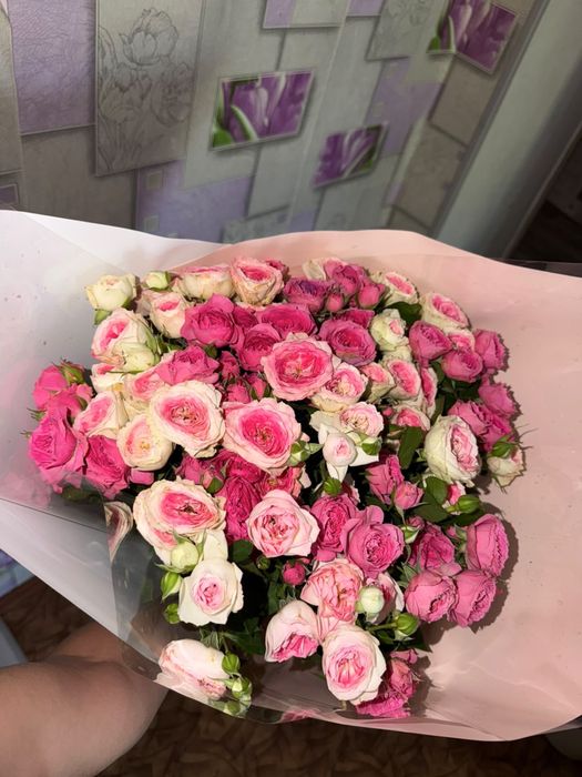 Продам цветы свежие
