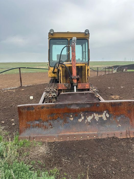 Жылқыға ауыстырамын