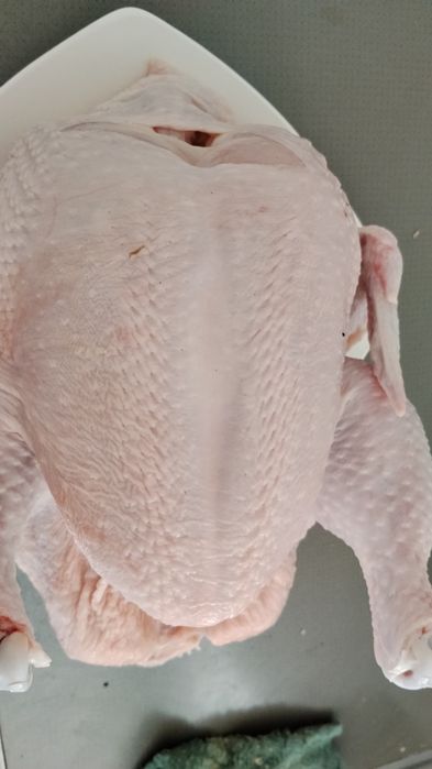 Продам мясо бройлеров