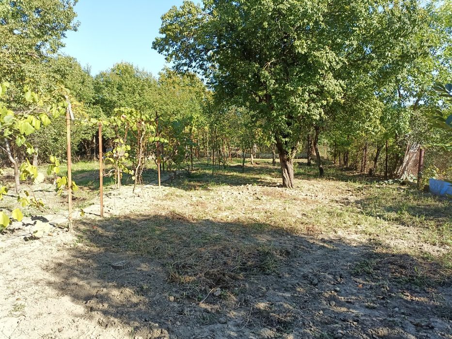 Proprietar vand Casă cu teren 1070m2  in Timișoara straza Muzicescu /girocului