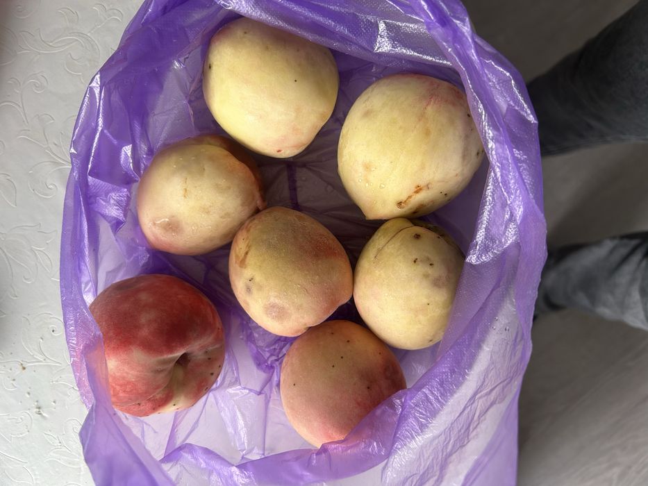 Продам домашний персик