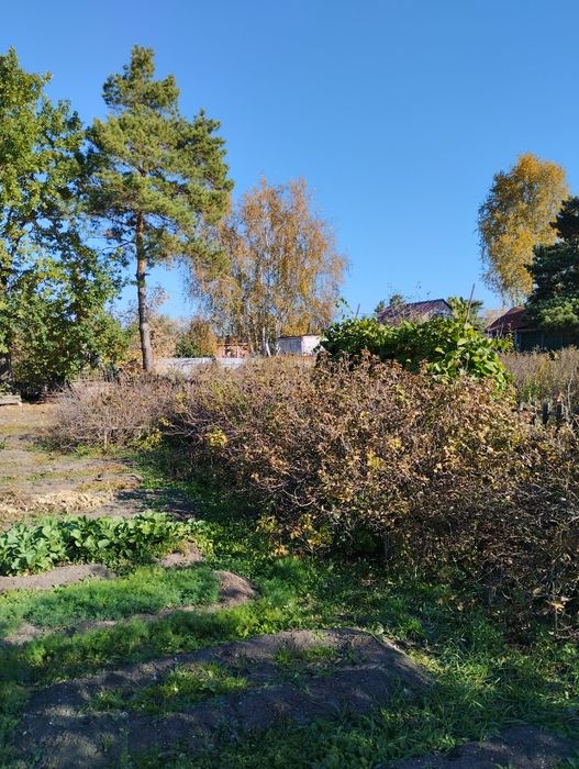 Продам дачу, 6 соток.
