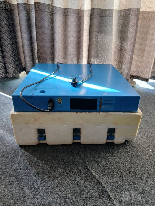 Inkubator sotiladi yaxshi ishlidi 64 tali