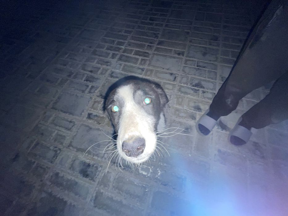 Электроскутер ск8