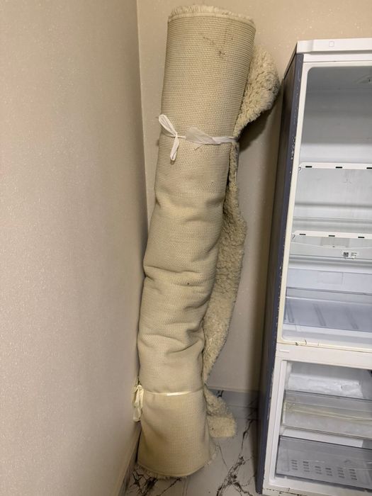 Холодильник, Ковер, в подарок мультиварка