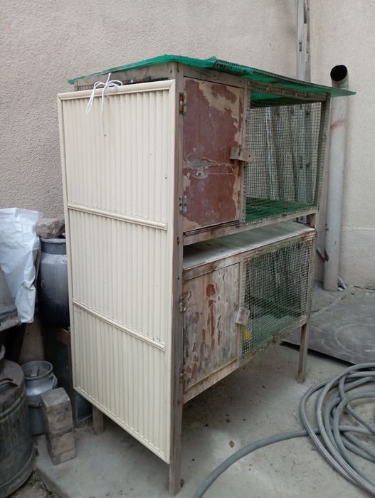 Куенга ин сотилади