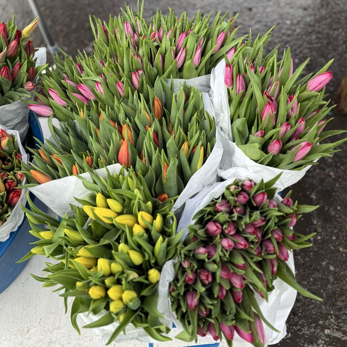 Тюльпаны букеты-розница