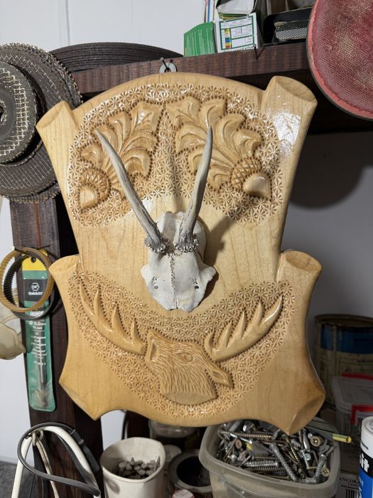 Panoplie diverse modele