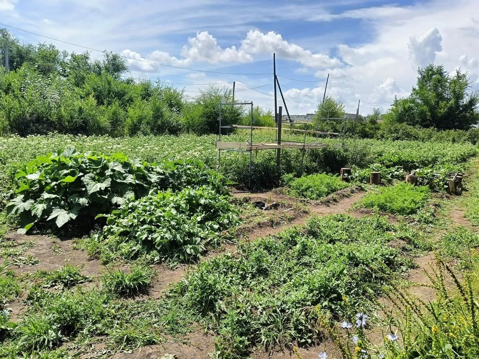 Продам здание с землёй