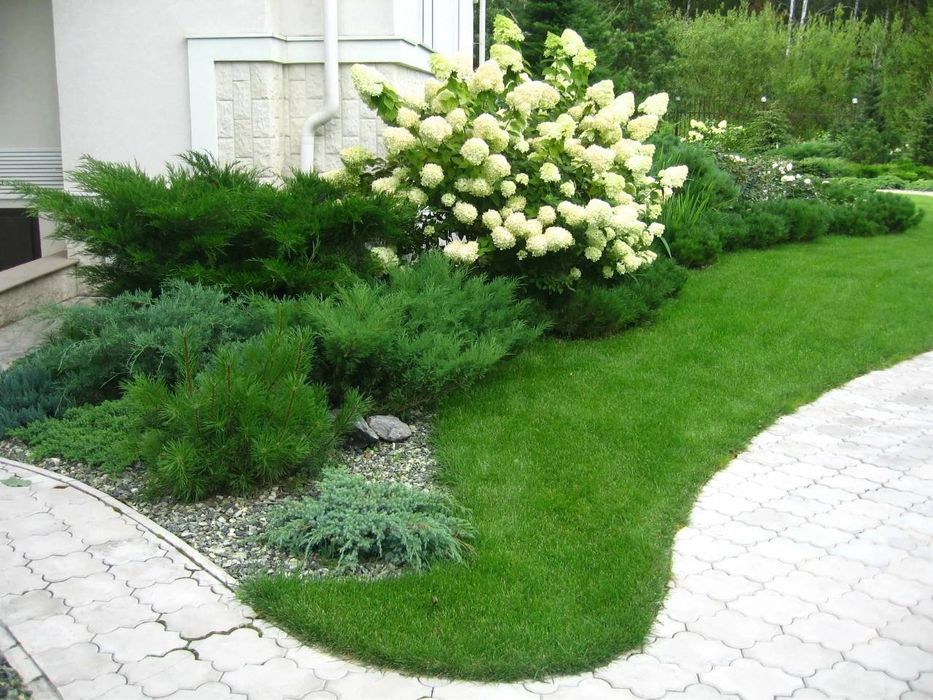 Шаршаралар тахлаймиз