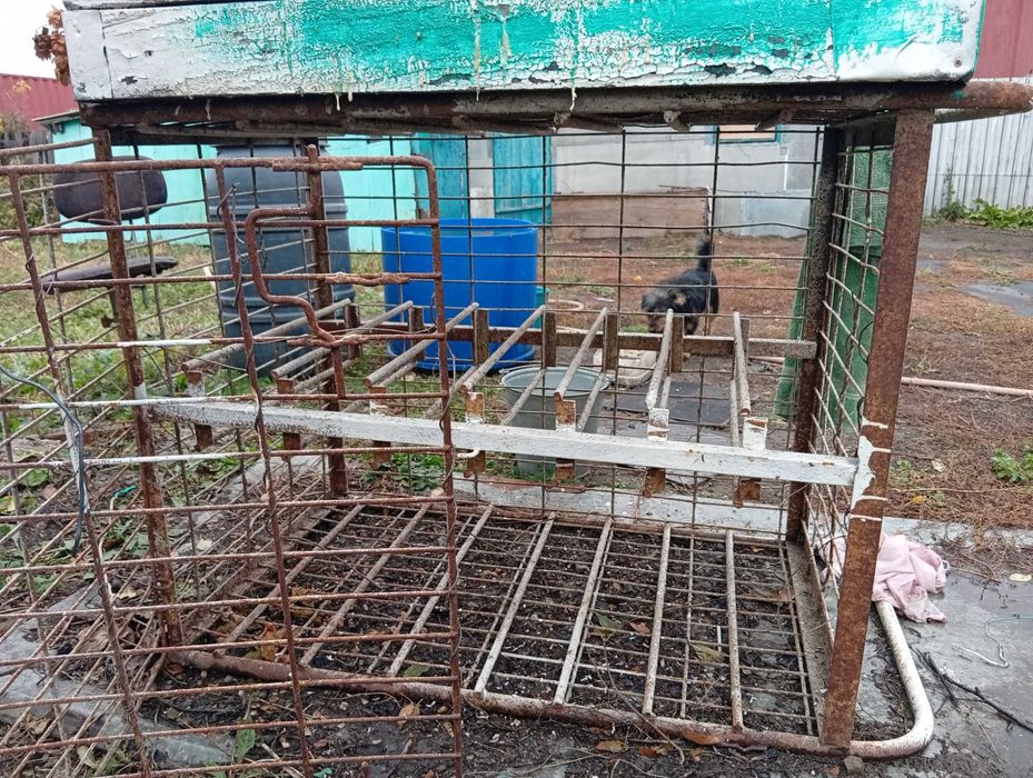 Продам клетку для кроликов, кур