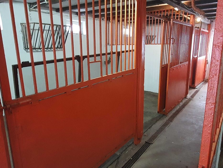 Casa de vacanta / Ferma de cai