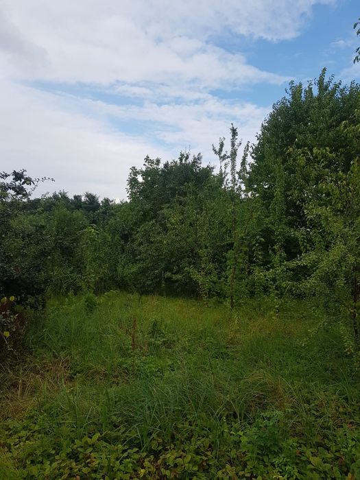Vând 2500  de metri de teren intravilan în Iași