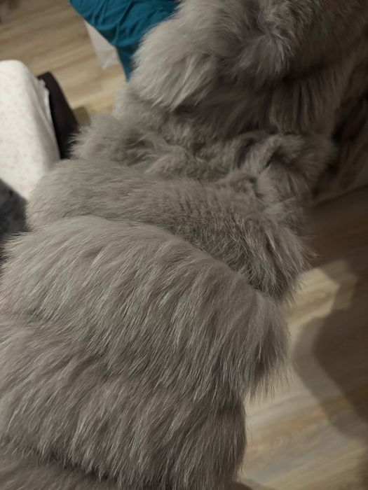 vand geaca de vulpe polara gri