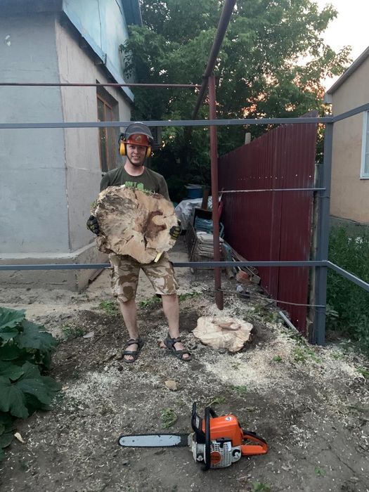 Спил, обрезка деревьев, арборист