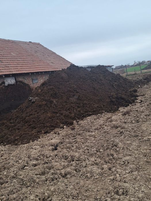 Gunoi de grajd de vânzare