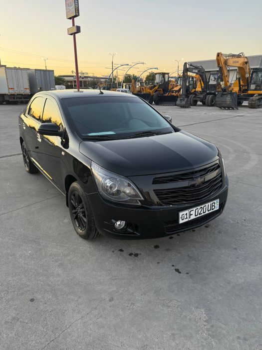 Cobalt MIDNAIT 2025г