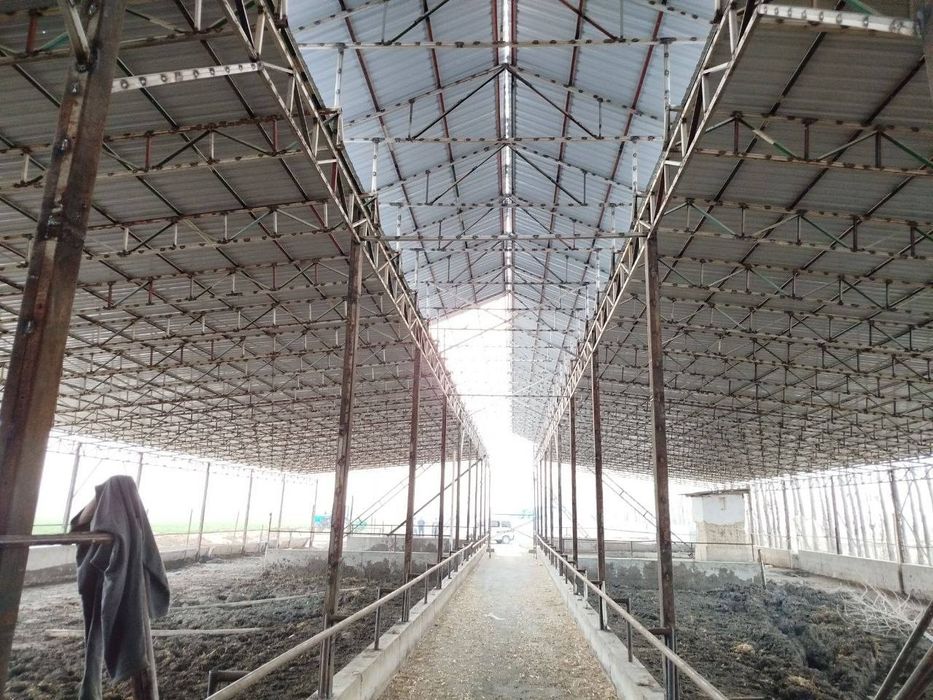 Навес куриш хизмати Узбекистан буйлаб кантинер профил материалидан