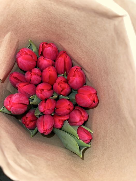 Тюльпаны оптом и в розницу