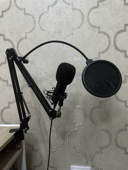 Professional microphone