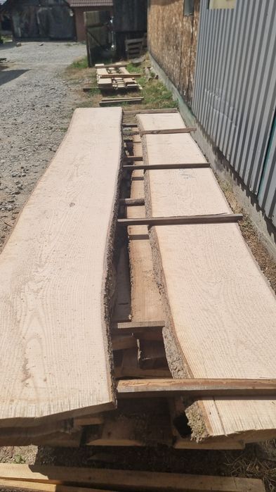 Cherestea uscata frasin.