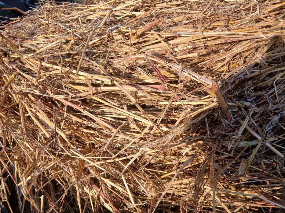 Рулоновый Сено продам