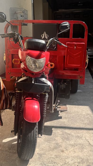 Zonlon Star yuk tashuvchi motosikl