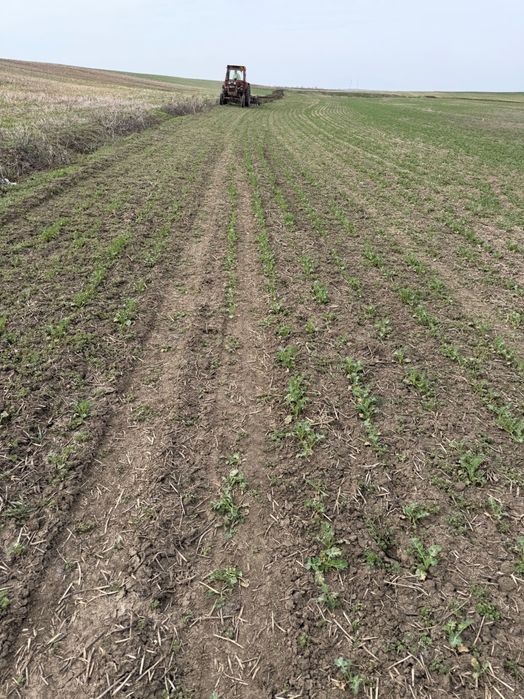 Teren arabil Vasilati