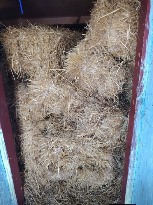 Vând baloti de paie de grâu și ovaz
