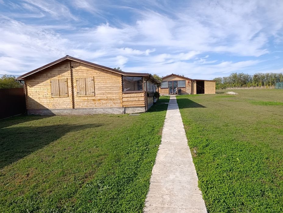 Oferta! Vând domeniu unicat (1 Ha) cu casă și livadă – Drăghiceanu, Giurgiu | Opțiuni parcelate la asfalt