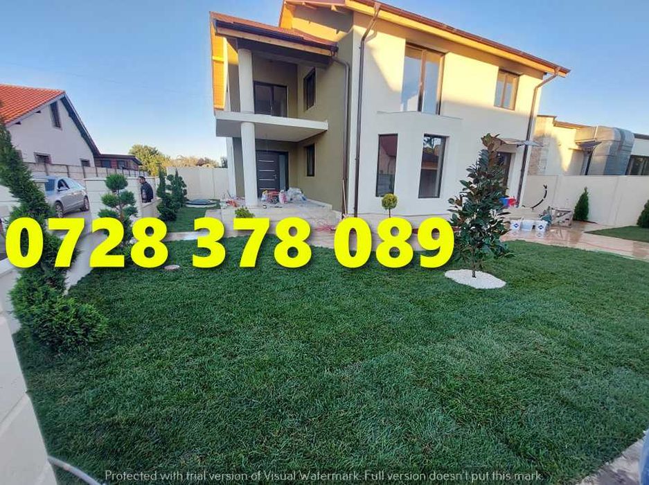 Gazon Rulou Pentru Curtea ta