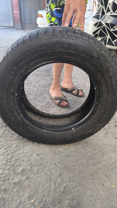 3 пары шины все сезоны