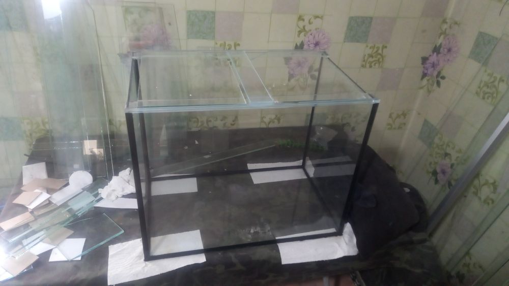 Продам рыбок  разные  красивые