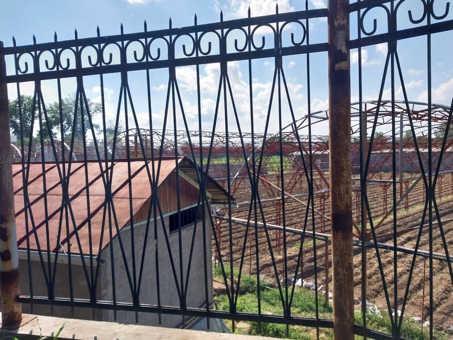 Назарбек туркистонда 30 сот.