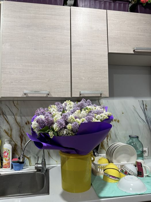 Цветы апрельский