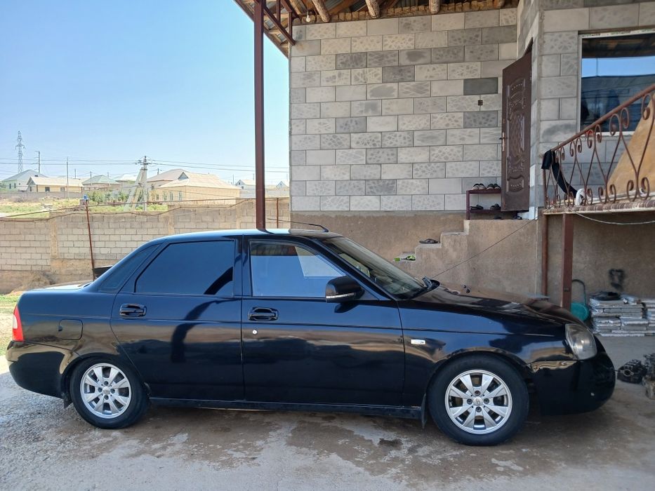 Рамашка тикса 14