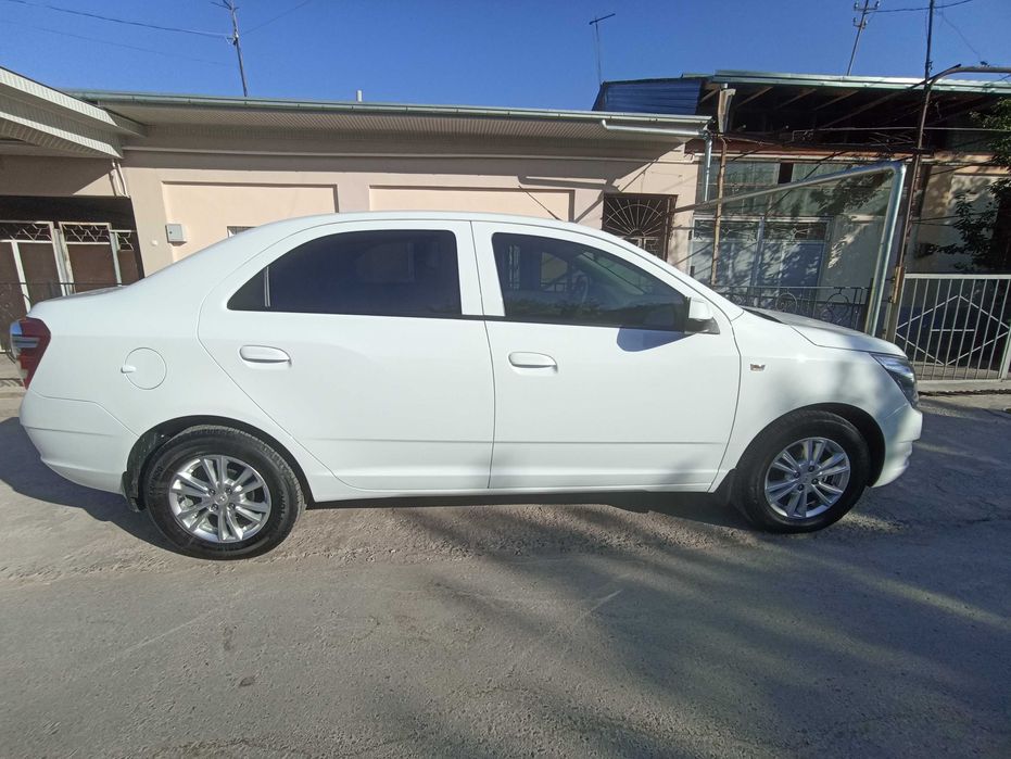 Cobalt 2023 evro economiser