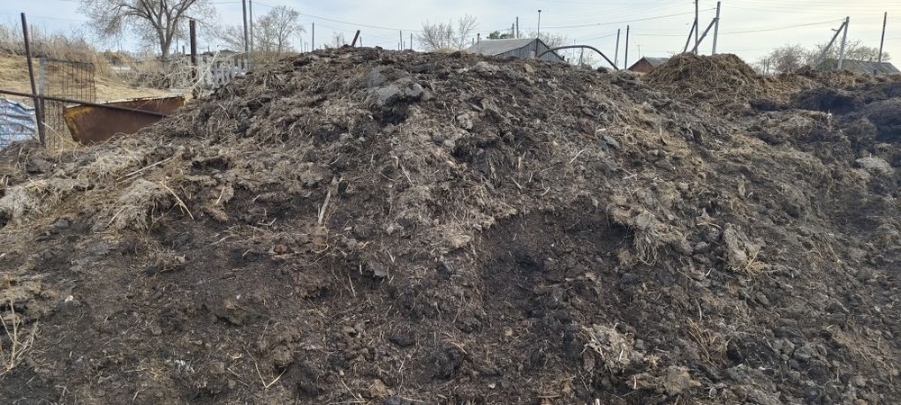 Продам  перегной навоз