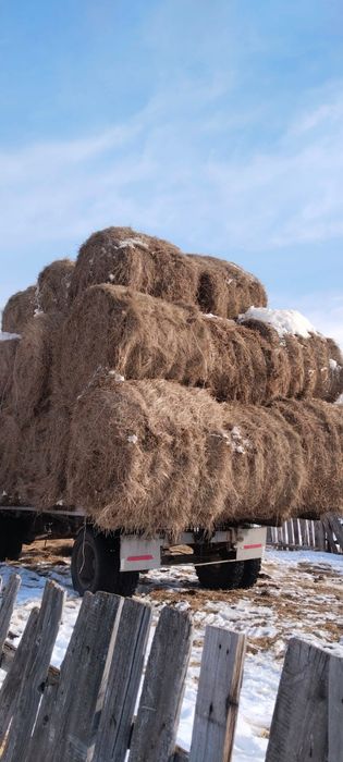 Продаю сено в рулонах