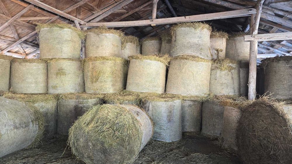 Baloți lucernă curata de 300kg - negociabil la cantitati mari