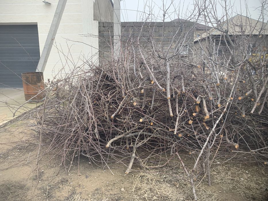 Дрова отын самовывоз после распила