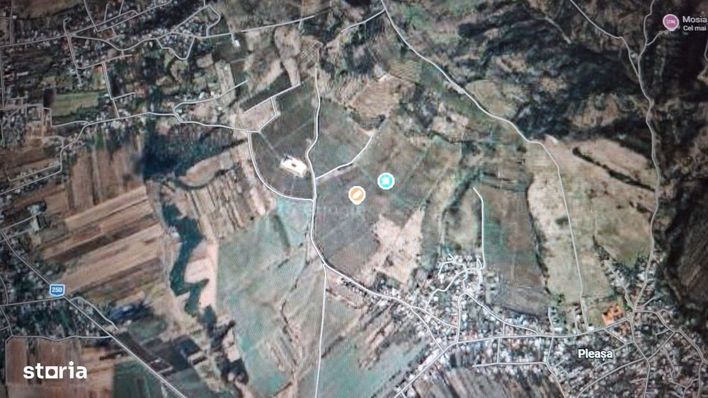 Vie de Vanzare Podgoria Dealu-Mare, Prahova - 15,39 ha