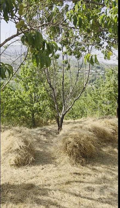 Продаётся 2 участка в Кумушкане.