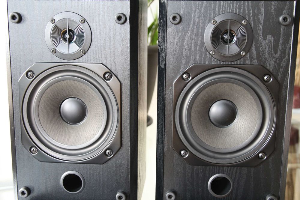 Bowers & Wilkins (B&W) seria 200 model V201