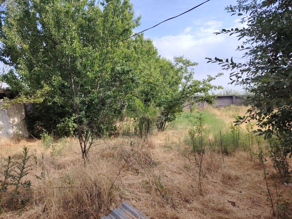 Янгийул тумандан ер сотилади 5 сотих