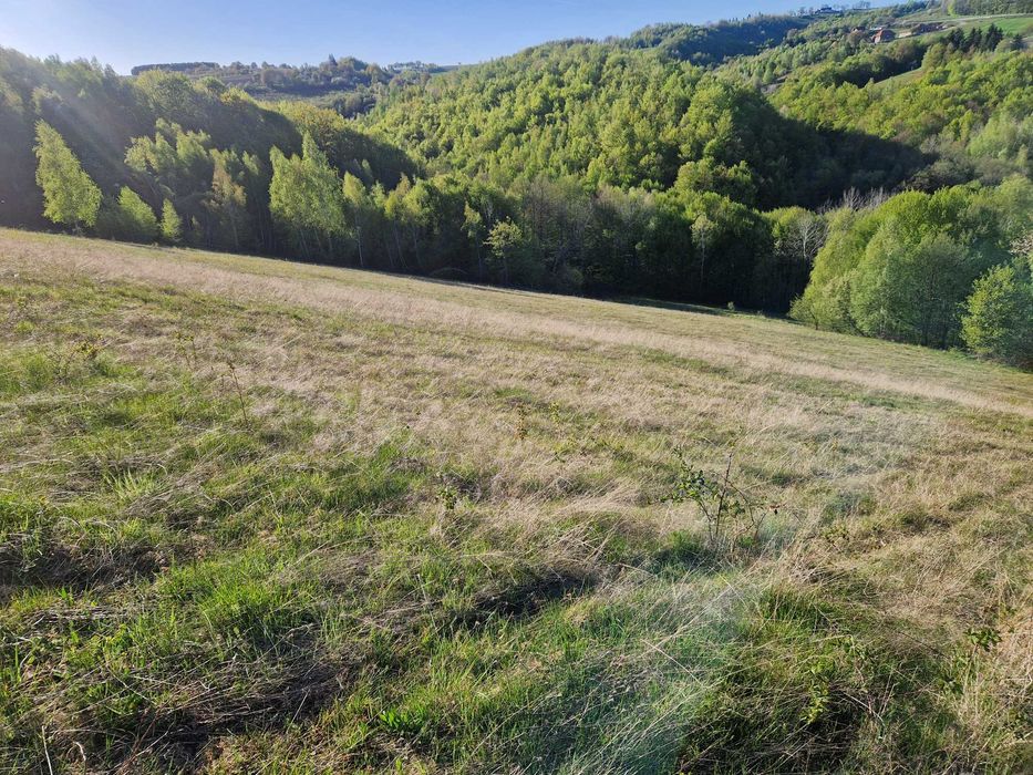 Teren intravilan in Sinteu Valea Tarnei